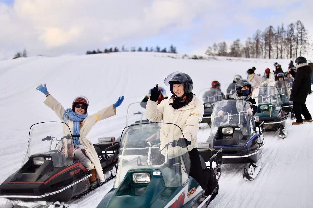 [Depart from Sapporo｜Winter Only] Hokkaido Asahikawa Zoo Day Tour ...